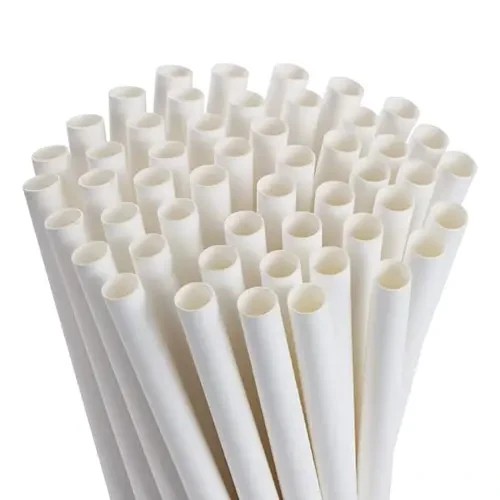 Disposable Straw